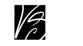 Logo VS Arts Bamberg