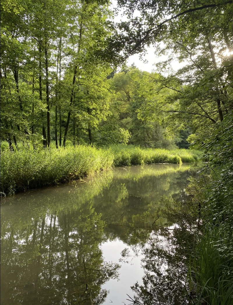 Fluss Wiesent